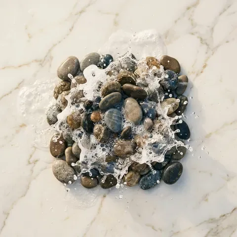 Aquatic Accord