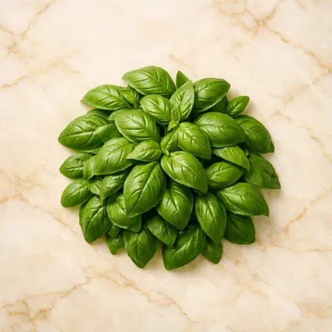 Basil