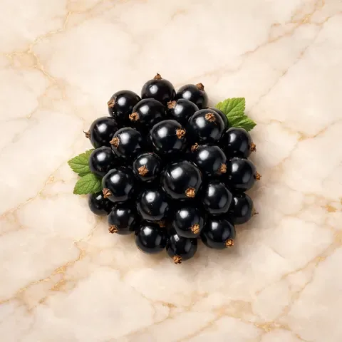 Black Currant