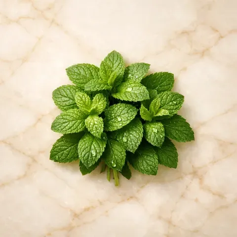 Mint