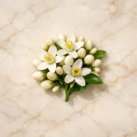 Neroli