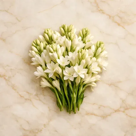Tuberose
