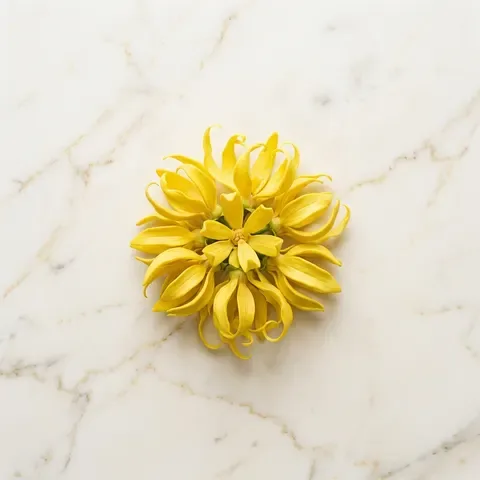 Ylang-Ylang